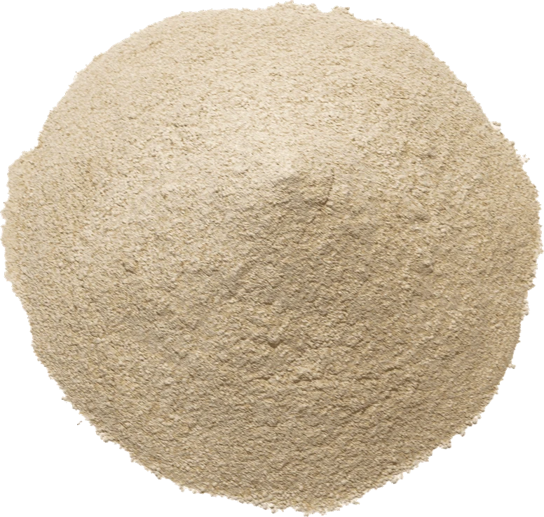 Chicken Food For Laying Egg best